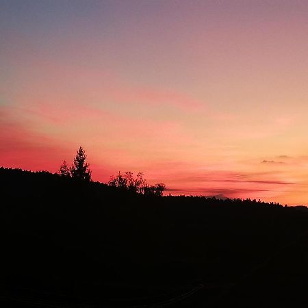 Ferienwohungen Im Kuchersbach ฮอร์นแบร์ก ภายนอก รูปภาพ
