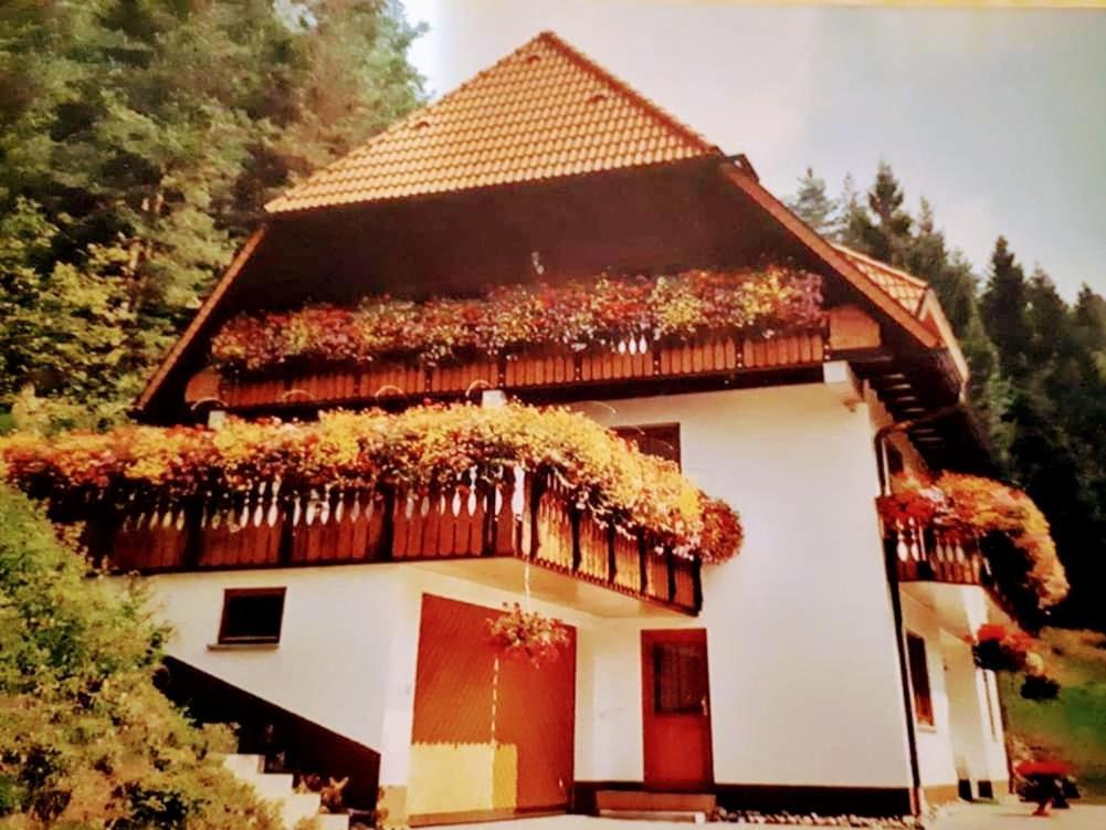Ferienwohungen Im Kuchersbach ฮอร์นแบร์ก ภายนอก รูปภาพ