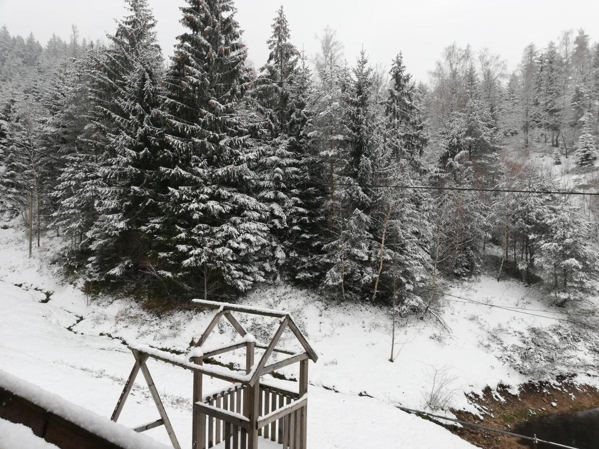 Ferienwohungen Im Kuchersbach ฮอร์นแบร์ก ภายนอก รูปภาพ